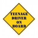 Could Teenagers Be The Answer To Truck Driver Shortages?