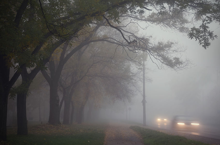 Driving in the Fog